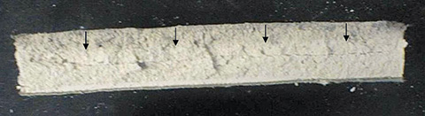 Obr. 2 Kalcinovaná plocha zobrazená v řezu sádrokartonové stěny tepelné expozici [2]