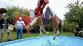 JMK_záchrana koně z bazénu_hasiči vytahují koně z vypuštěného bazénu