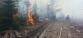 2021-11-05-Požár lesního porostu Černovice BK/2021-11-05-Požár lesního porostu Černovice BK (11)