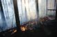 Požár lesa_NP České Švýcarsko_pohled na hořící stromy