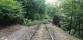 001 - popadané stromy způsobily komplikace také na železniční trati