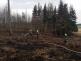 Požár lesa, Cizkrajov - 29. 3. 2022 (1)