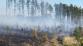 rozsáhlý lesní požár - Libavá - Kozlov