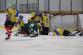 Turnaj HZS ÚK v ledním hokeji (10)