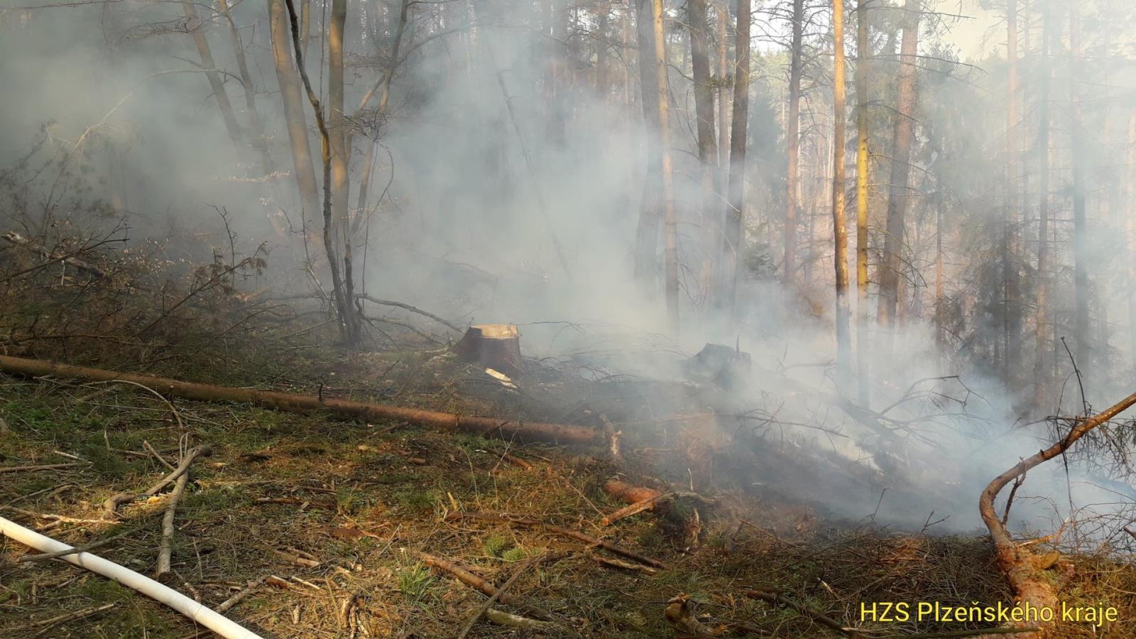 31_3_2019 požár les Čímice Podmokly (4).jpg