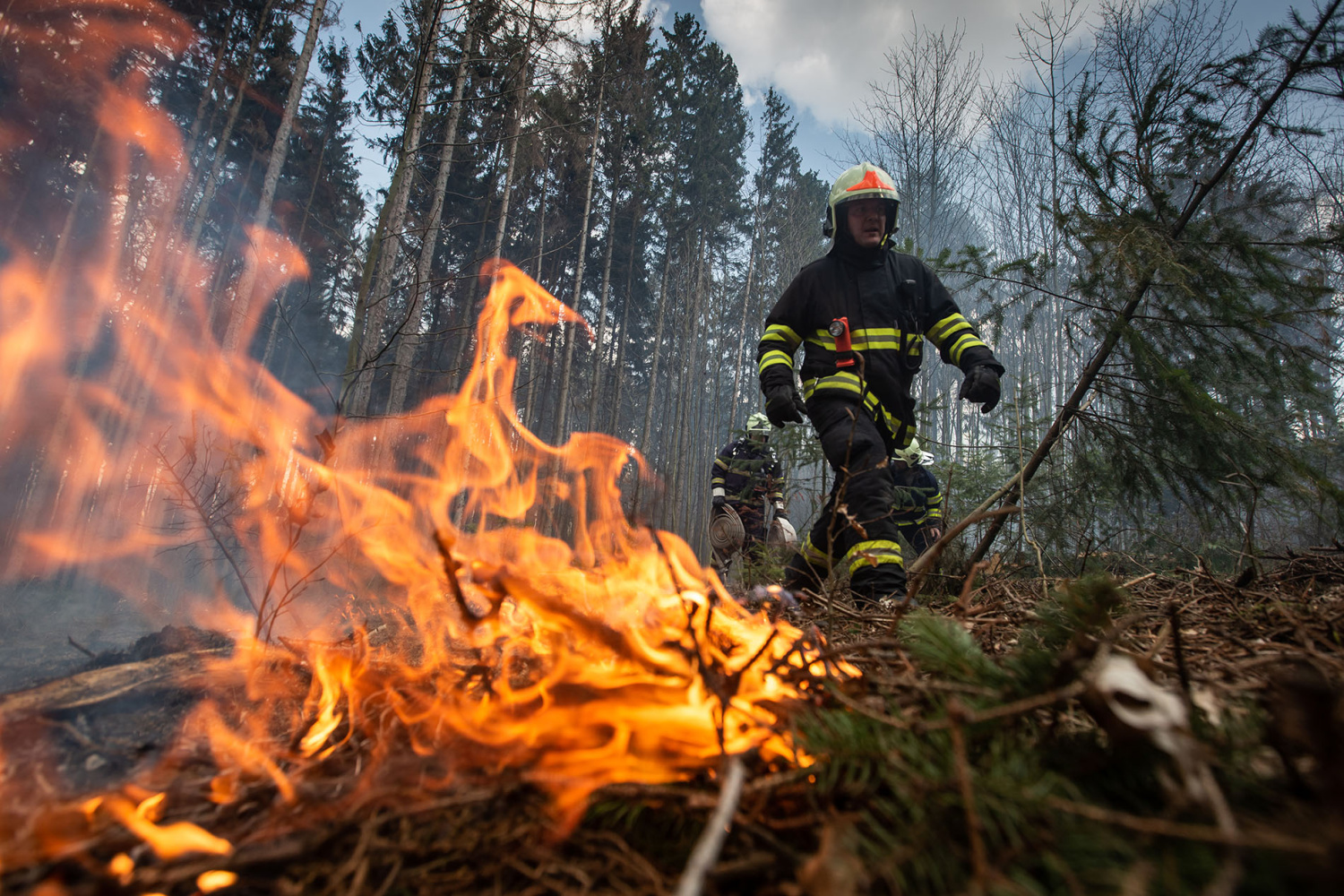 Lesní požár (1).jpg