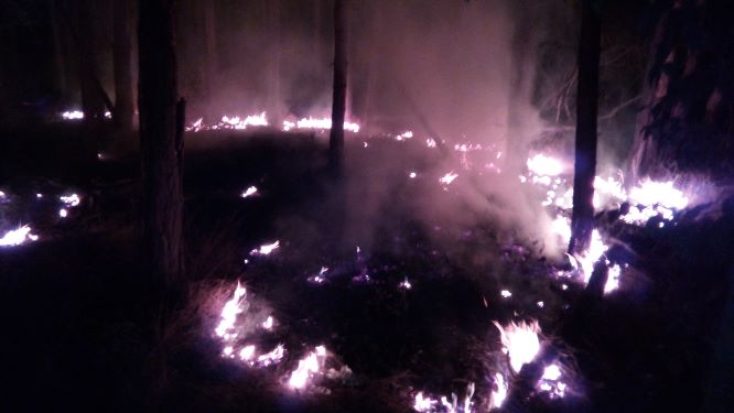 Požár trávy Račice (1).jpg