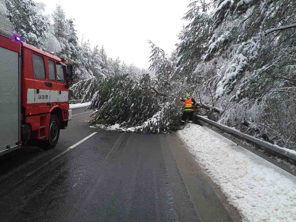 KVK_hasiči odklízí z vozovky stromy, které polámal těžký sníh.jpg