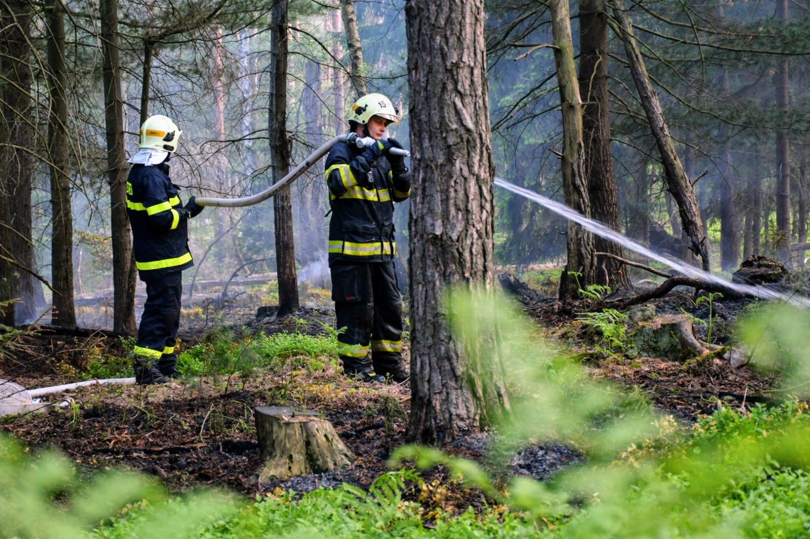 Požár lesa Děčín (2).JPG
