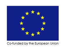 DIRECT logo EU.png