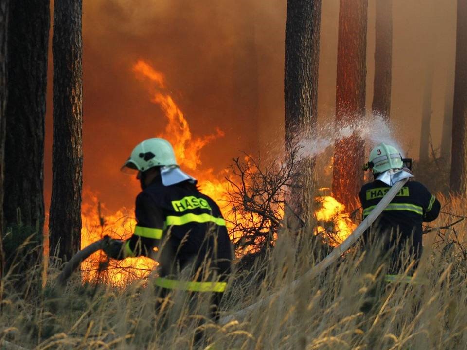 Požár lesa II.jpg
