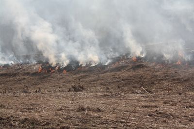 Požár trávy, březen 2012