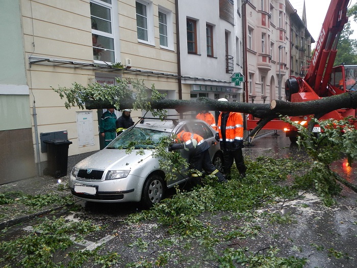 Pád stromu na auto v Českých Budějovicích