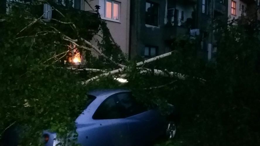 Strom spadl v Pardubicích na zaparkovaný automobil