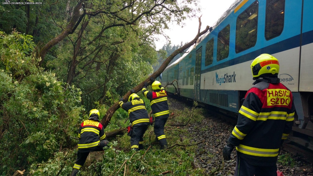 29_5_2018 DN železniční_vlak do stromu (7).jpg