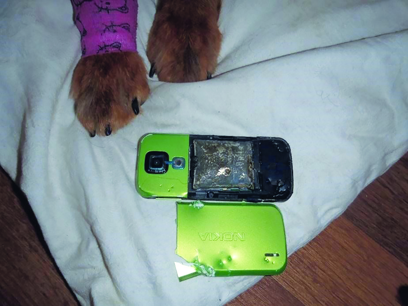 Obr. 3 Mechanické poškození mobilního telefonu - rozkousání psem [zdroj: HZS Libereckého kraje]