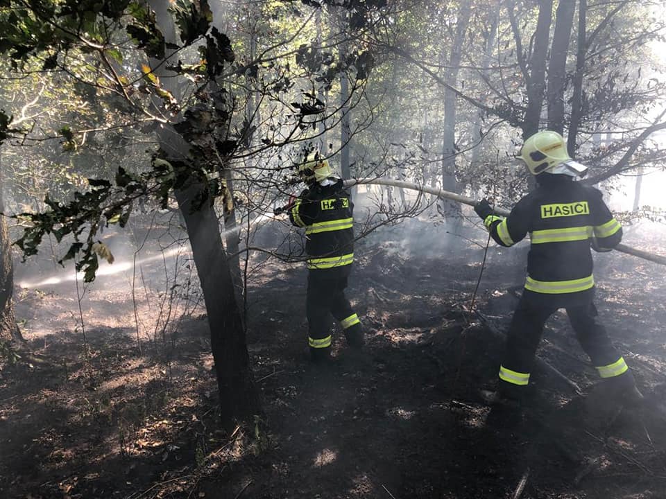 Požár lesa Krupka (4).jpg