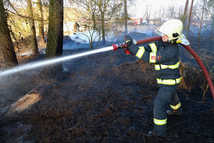Požár lesa v Černé u Bohdanče likvidovaly čtyři hasičské jednotky