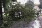 Brno - strom spadl na auto