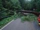 141-Odstraňování stromu ze silnice u obce Černé Budy na Benešovsku