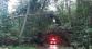 167-Nebezpečně nakloněné stromy nad silnicí u Dublovic na Sedlčansku