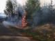 požár lesa (14).jpg
