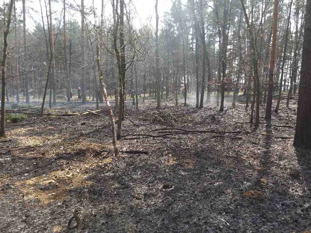 likvidace požáru lesa (3).jpg
