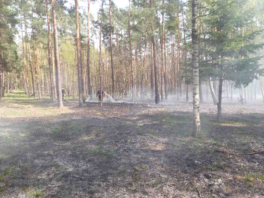 likvidace požáru lesa (5).jpg
