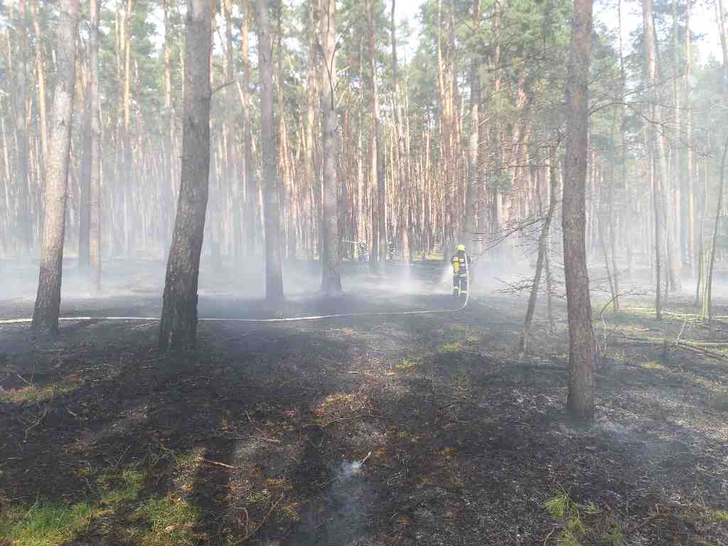 likvidace požáru lesa (6).jpg