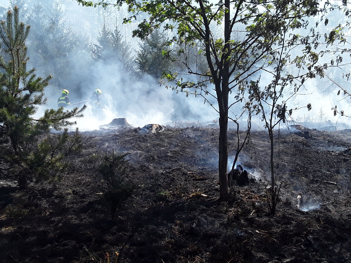 Požár lesa Příbram na Moravě (3).jpg