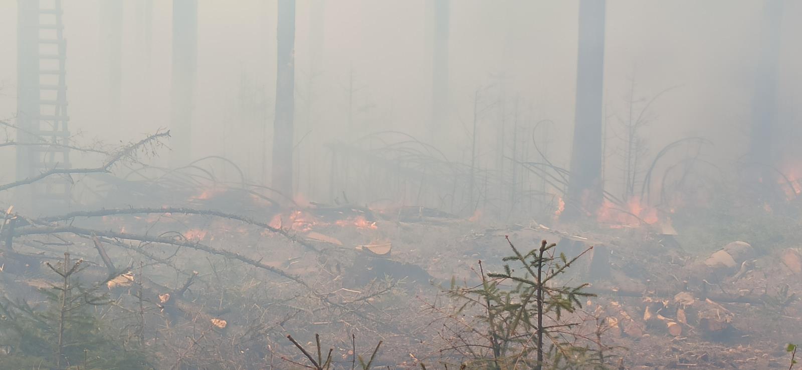 2021-11-05-Požár lesního porostu Černovice BK/2021-11-05-Požár lesního porostu Černovice BK (15).jpg