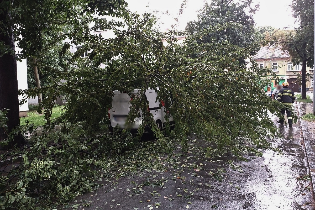 Brno - strom spadl na auto.jpg
