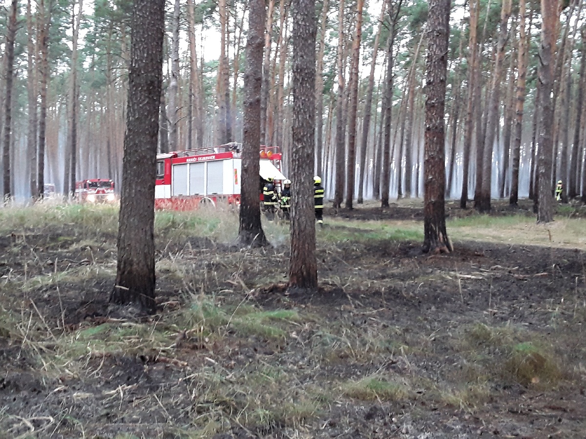 Požár lesa (1).jpg