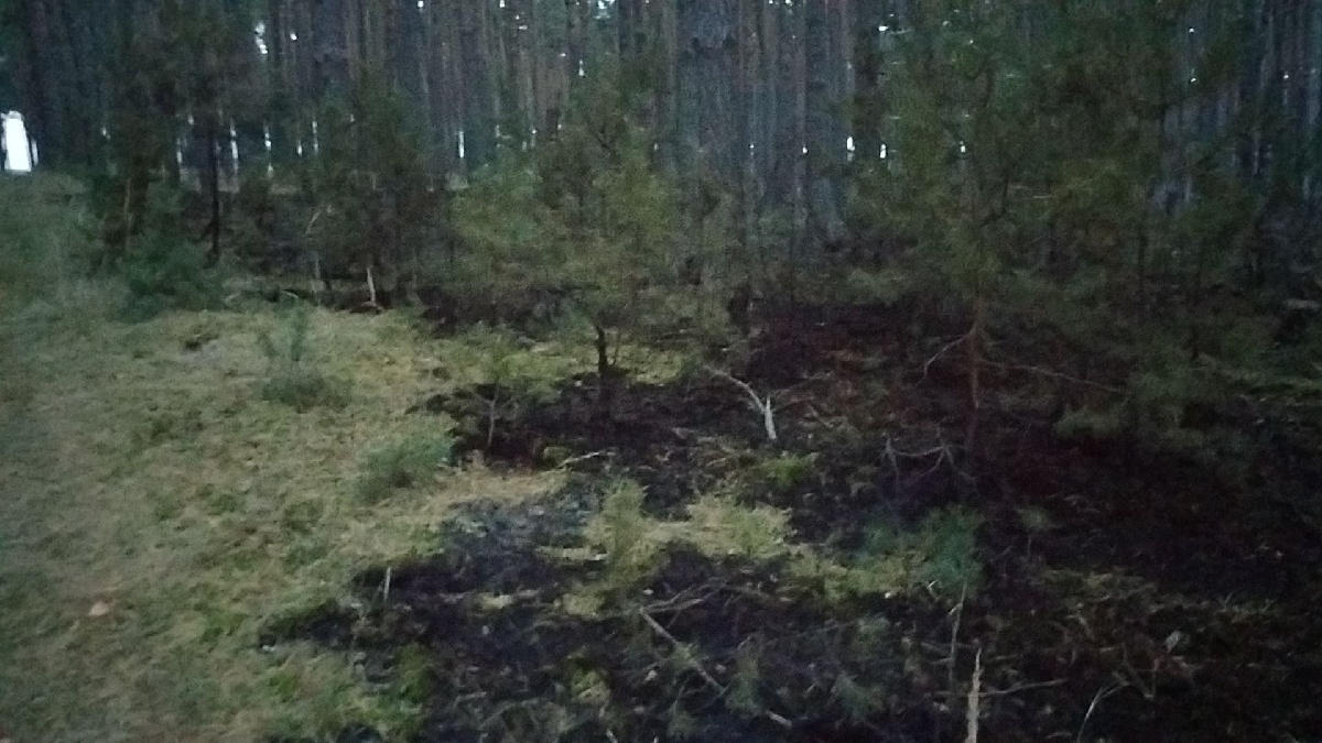 Požár lesa (22).jpg