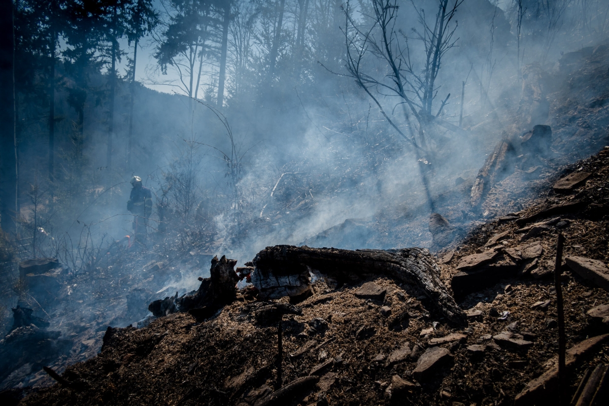 Požár lesa a porostu u Sloupu (9).jpg