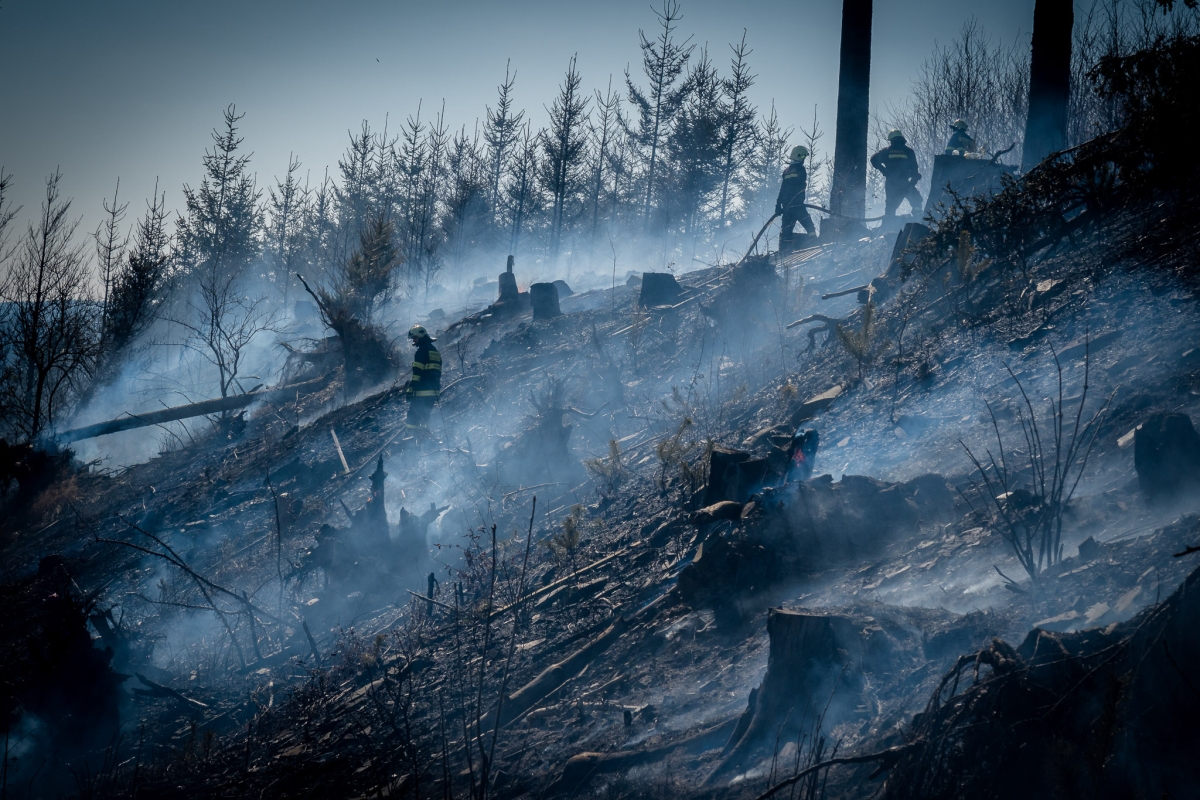 Požár lesa a porostu u Sloupu (13).jpg