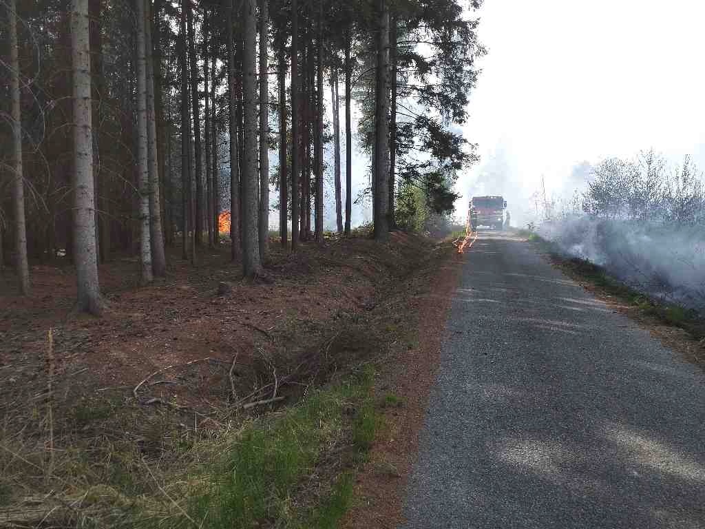 požár lesa (3).jpg