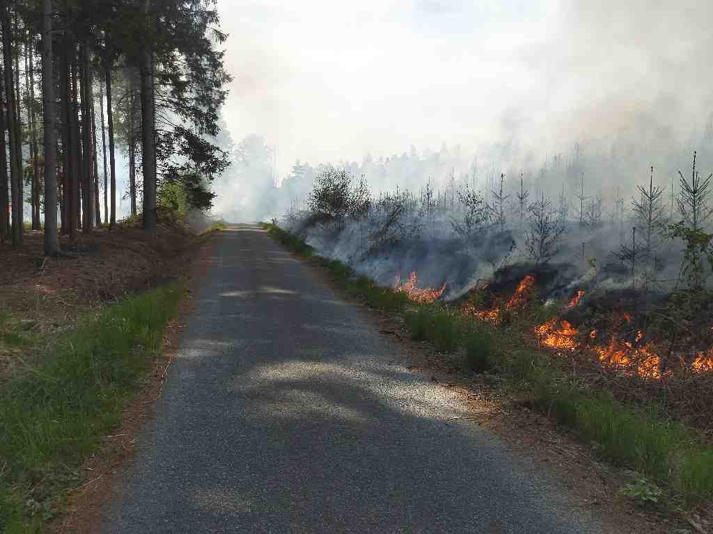požár lesa (4).jpg