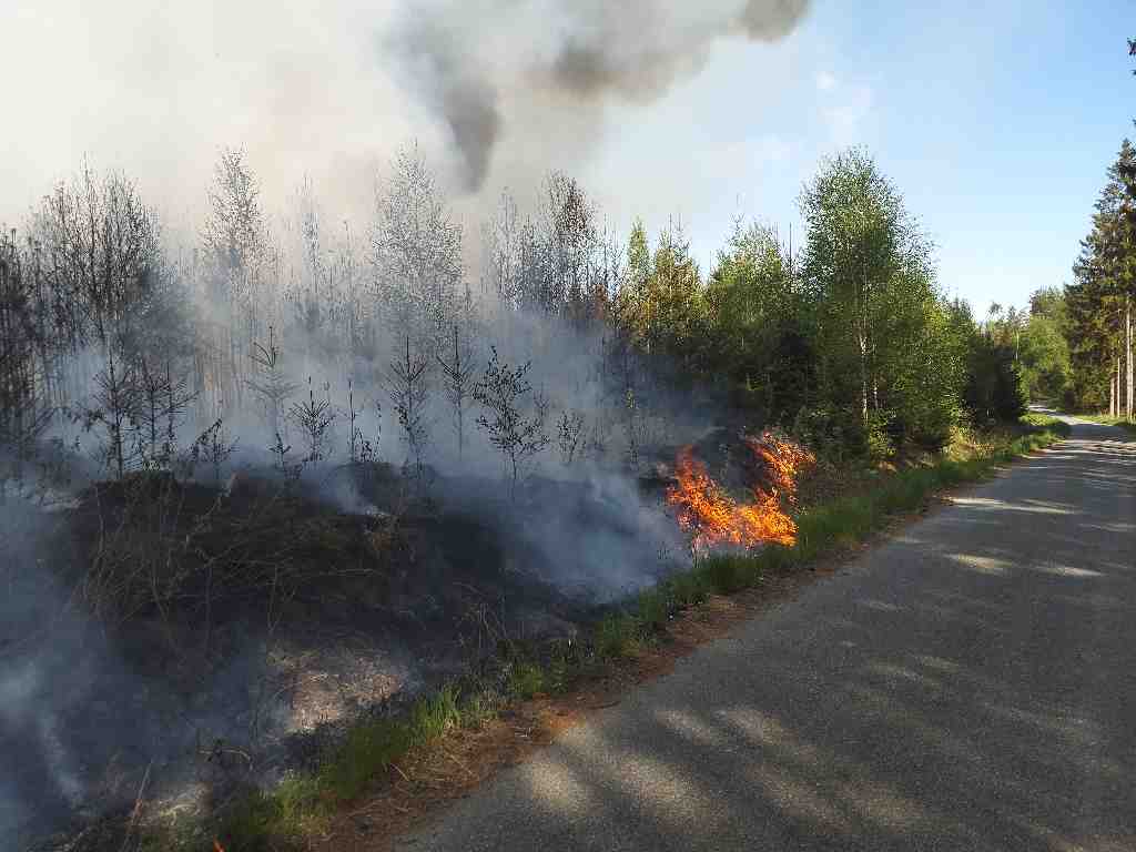 požár lesa (6).jpg