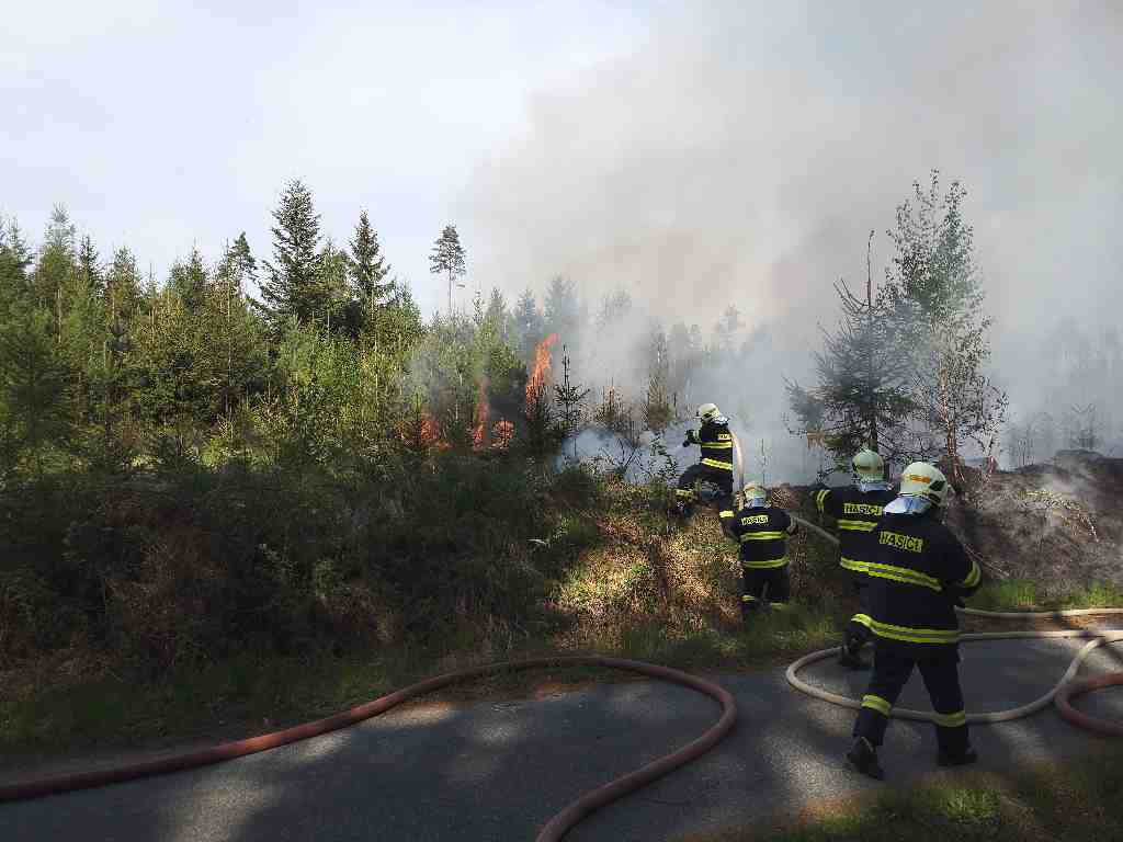 požár lesa (11).jpg