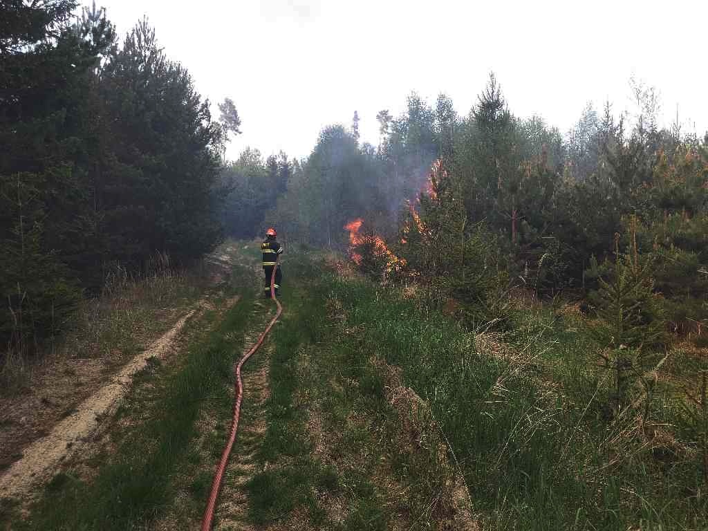 požár lesa (15).jpg