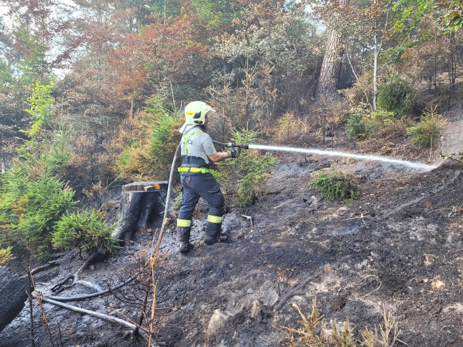 112-Požár v Národním parku České Švýcarsko.jpg