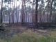 Požár lesa (16).jpg
