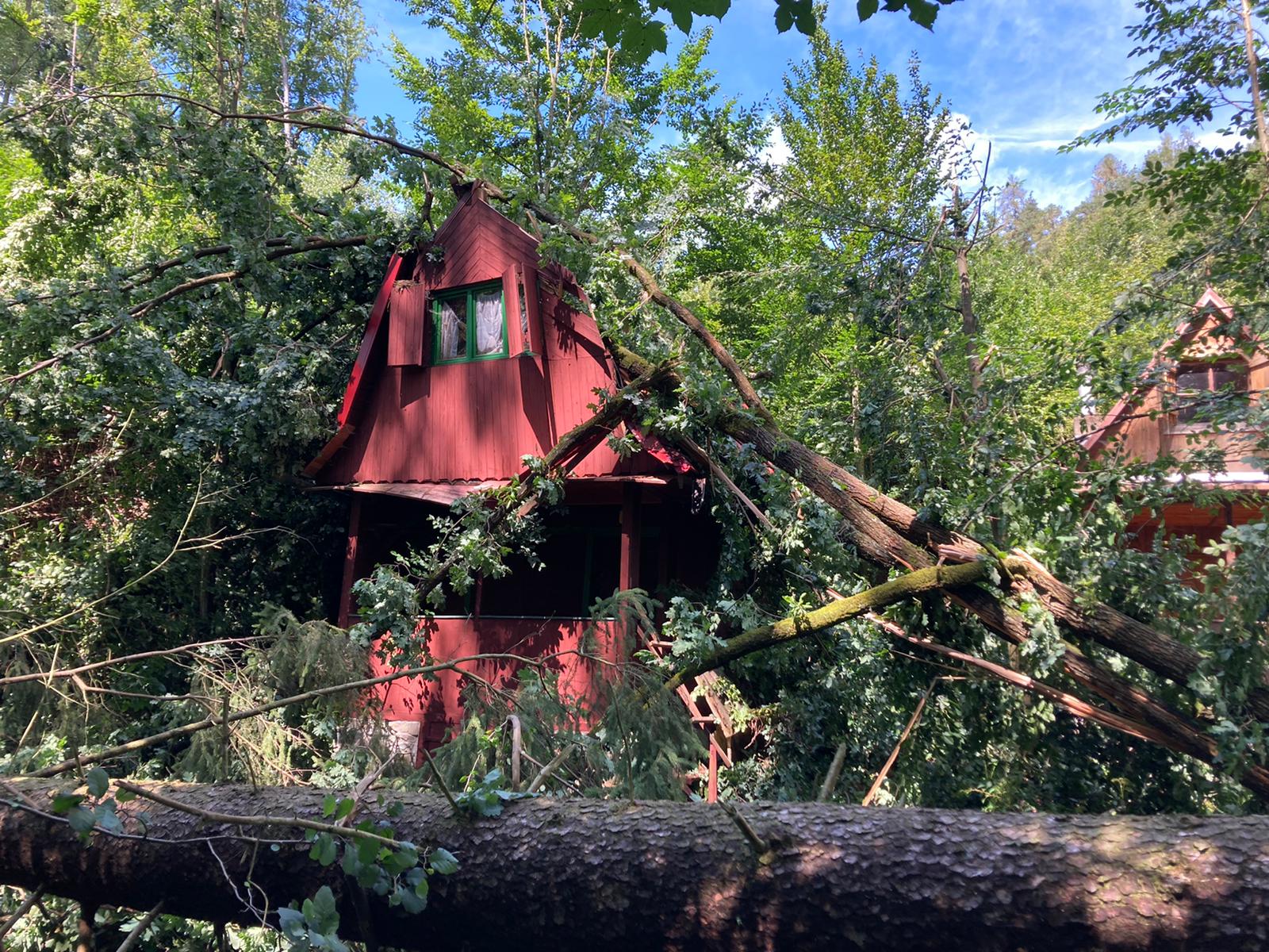 113-Popadané stromy po letní bouřce v chatové oblasti u Senohrab.jpg