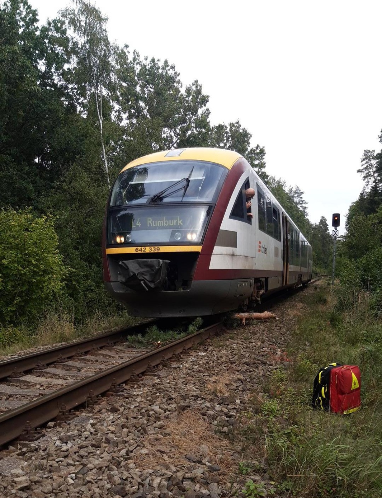 134-Najetí vlaku do ulomené větve nedaleko Bělé pod Bezdězem.jpg