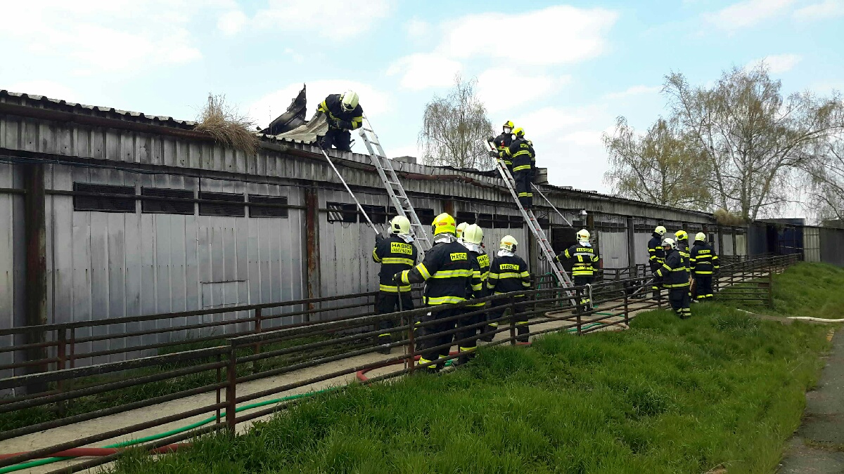 JMK_Požár vepřína na Znojemsku_část hasičů leze po žebříku na střechu budovy, část je jistí.jpg