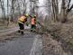 KVK_hasiči odklízí popadané stromy z vozovky